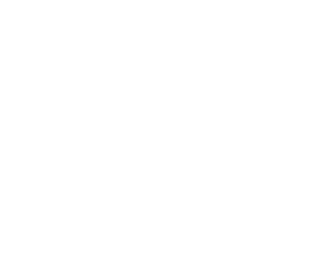 Barish Photography logo